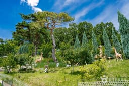 도토리숲키즈파크