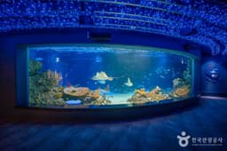 아쿠아플라넷 광교