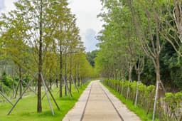 치악산 바람길숲