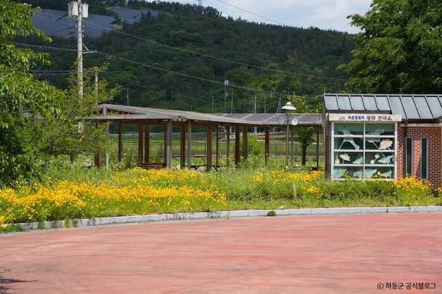 Image 7