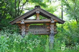 한국통나무학교