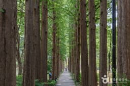 서초문화예술공원