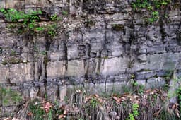 청송자연휴양림 퇴적암층 (청송국가지질공원)