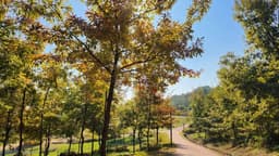 [시흥 늠내길 4코스] 바람길