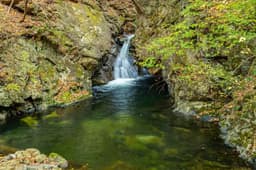 백운계곡(원주)