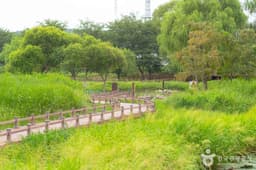 경포가시연습지