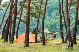 오천솔밭유원지