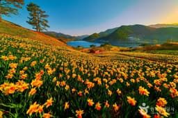 지리산치즈랜드