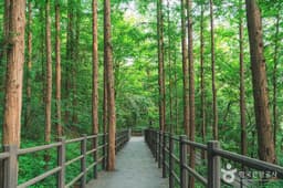 서대문 안산(안산자락길)