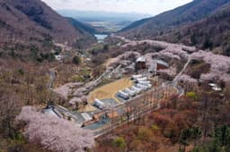 월아산숲속의진주