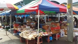 송백장 (5, 10일)