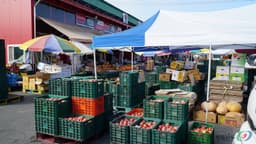 안동청과합자회사