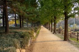 [평화누리길 4코스] 행주나루길