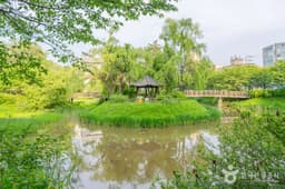 밤밭청개구리공원