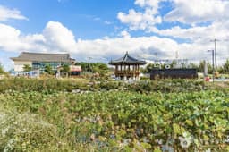 다송무지개매화마을