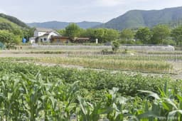 평리산대추마을