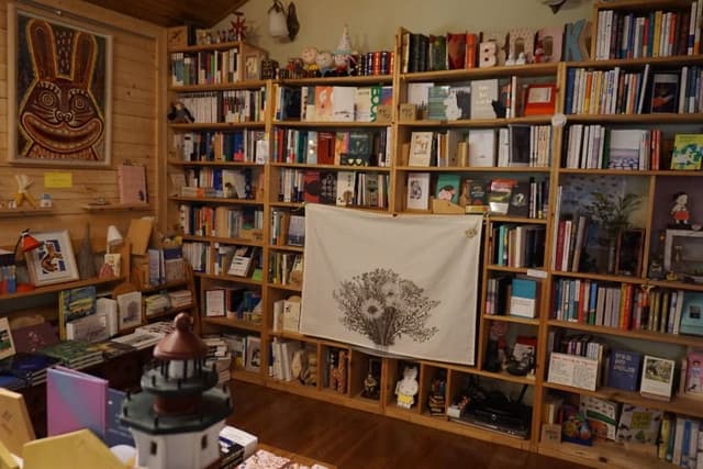 Image 5