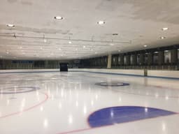 강릉실내빙상장