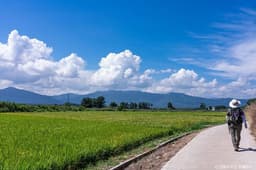 [해파랑길] 38코스(바우길 6구간)