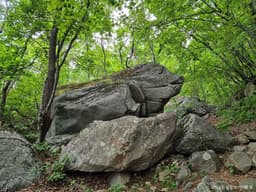 소백산 국망봉  돼지바위