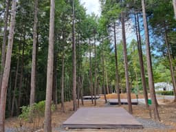 국립남해편백자연휴양림