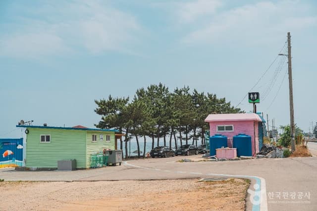 Image 6