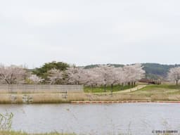 경포생태저류지