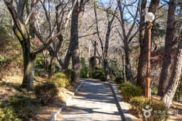 장복산조각공원