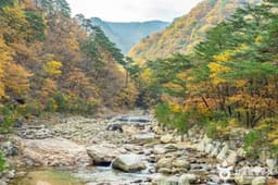 설악산 오색주전골