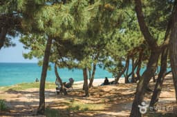 [해파랑길] 39코스(바우길 05구간)