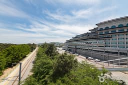 베니키아 프리미어 동해보양온천 컨벤션호텔