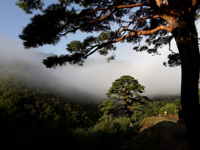 뱀사골 와운마을