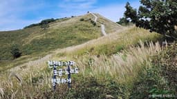 황매산 억새군락지