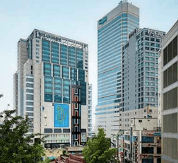 빨질레리 현대아울렛 동대문점