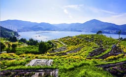 지세포성 꽃동산