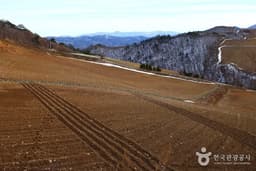 대기리산촌마을