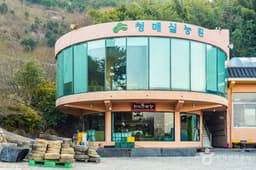 홍쌍리 청매실농원