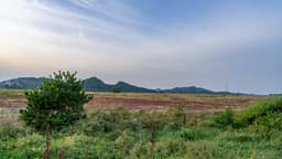 탄도인공습지공원