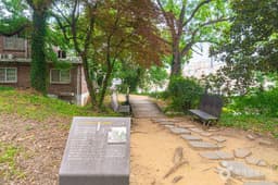 양림동 호랑가시나무길