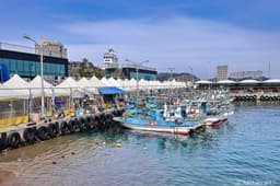 설악항활어회센터