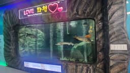 토속어류생태체험관