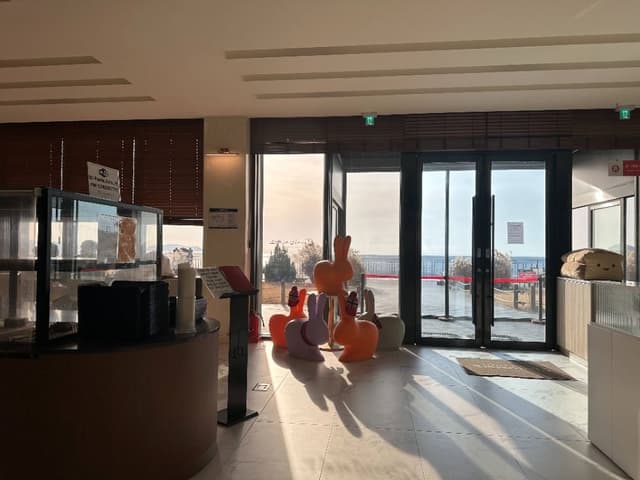 Image 8