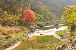 소금강 (강원고생대 국가지질공원)