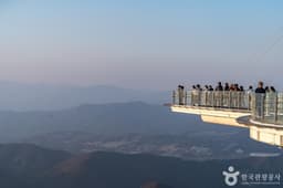 발왕산 기 스카이워크