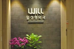 윌성형외과의원