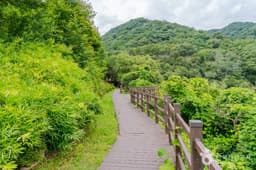 옥성자연휴양림