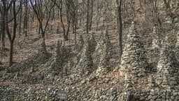 팔룡산 돌탑공원