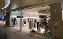 시스티나 파르나스몰점