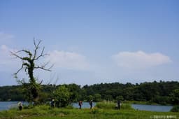 [강릉 바우길 10구간] 심스테파노 길