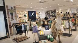 캉골키즈 신세계사이먼프리미엄아울렛 파주점